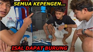 Download lagu HAPPY DAY…ISAL GOT A BIRD AS A GIFT mp3 Download lagu HAPPY DAY…ISAL GOT A BIRD AS A GIFT mp3