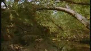 Трейлер четвертого сезона сериала "Доктор Куин: Женщина-врач"