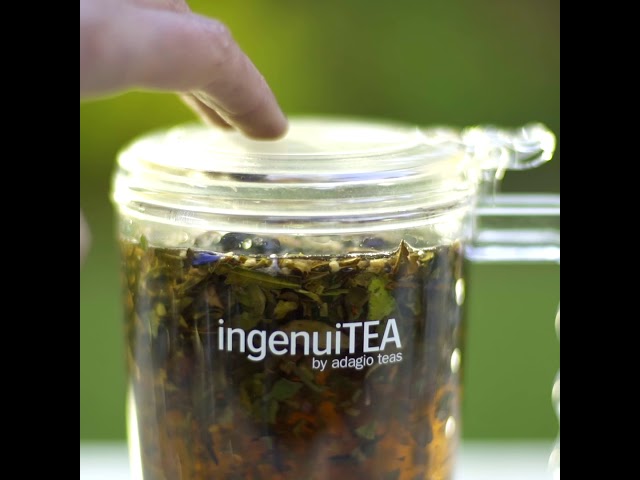 Vídeo relacionado con Adagio Teas IngenuiTEA Iced/XL - Infusor de té suelto - Brewer - 850 ml