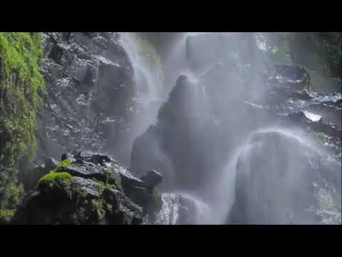 Song 177from Sing Preises to Jehovah Assembly Orchestral Arrangements