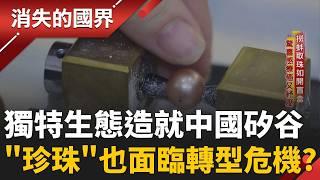 中國珍珠真比黃金值錢？ 價格雪崩也得靠AI救援？ 中國矽谷持續發展 獨特生態孕育科技巨頭｜【消失的國界PART2】20260817｜三立新聞LIVE