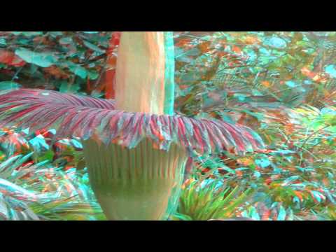 Miligram & Tifa - Gdje je ljubav