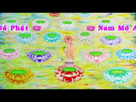 HD | Kinh A Di Đà Sớ Sao Diễn Nghĩa, tập 103 [phụ đề] - Lão Pháp Sư Tịnh Không