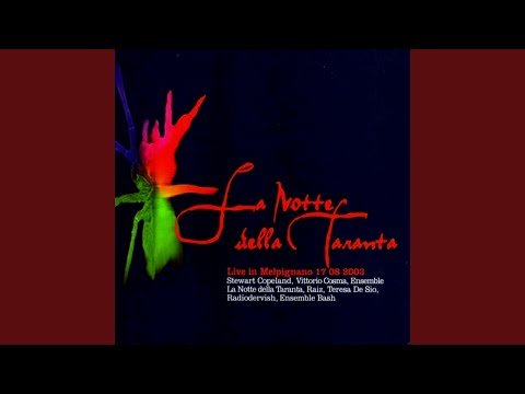 Menamenamò (feat. Radiodervish)