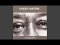Floyd's Guitar Blues - Muddy Waters - Topic Floyd's Guitar Blues
