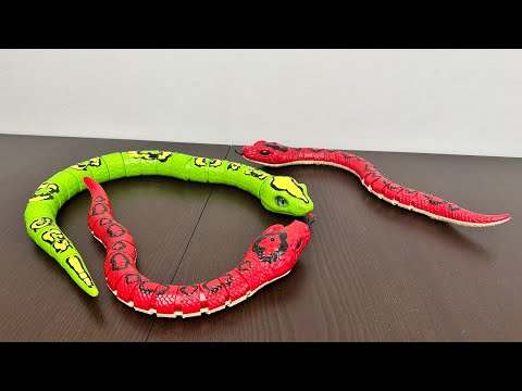 Terra RC Snake Rainbow BOA Toys Unboxing 