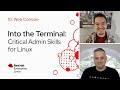 Web Console Into The Terminal 10