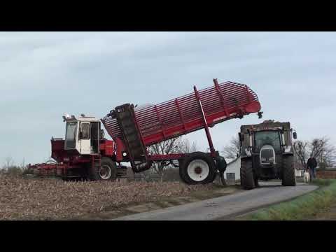 Loonw. Vermeulen-Vandoorne - Oostnieuwkerke - Dewulf R 8000 T - New Holland TM 130 - Valtra