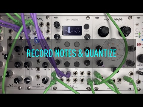 Ephemere Chapter 4 (Quantize & Scale)