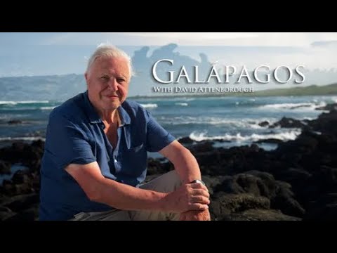 Galápagos with David Attenborough | Origin