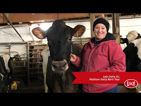 Tour One Of The World's Top Producing Robotic Dairies | Pattison Dairy | Lely Large Herd Dairy