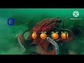 Starfall ABC S Part 15 O