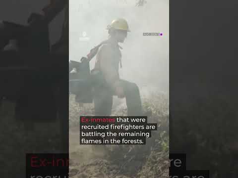 Wildfires in Washington state force thousands to evacuate homes | AJ #shorts