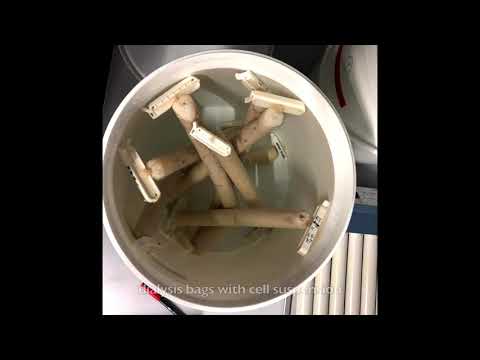 TechThursday LVI - Diffusion☕