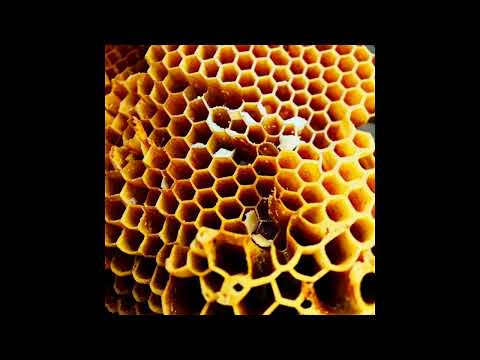 Дидюля, MP3, 2CD - фото 7 - id-p1981398722