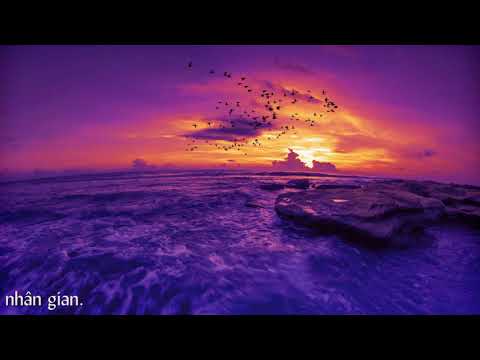 Tôi muốn Sheet - Đông Nguyễn