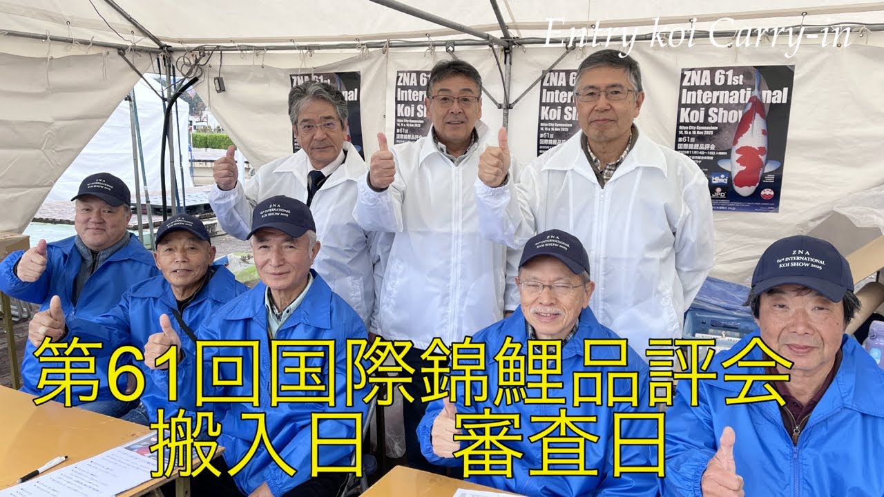 61st International Koi Show Entry koi Carry-in & Judging day