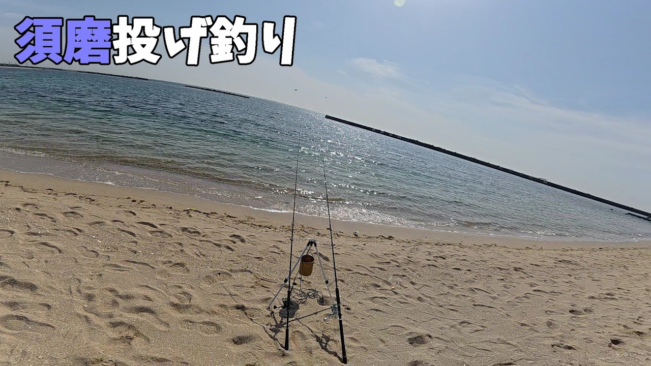 須磨投げ釣りでついに本命ゲット！？