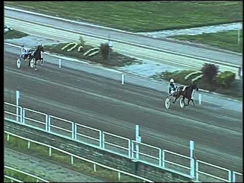 Trotto 24/09/2015 -  prova di  riqualifica