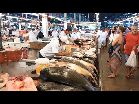 [4k] Mercado Municipal de Manaus, Peixes da Amazônia,EP 04