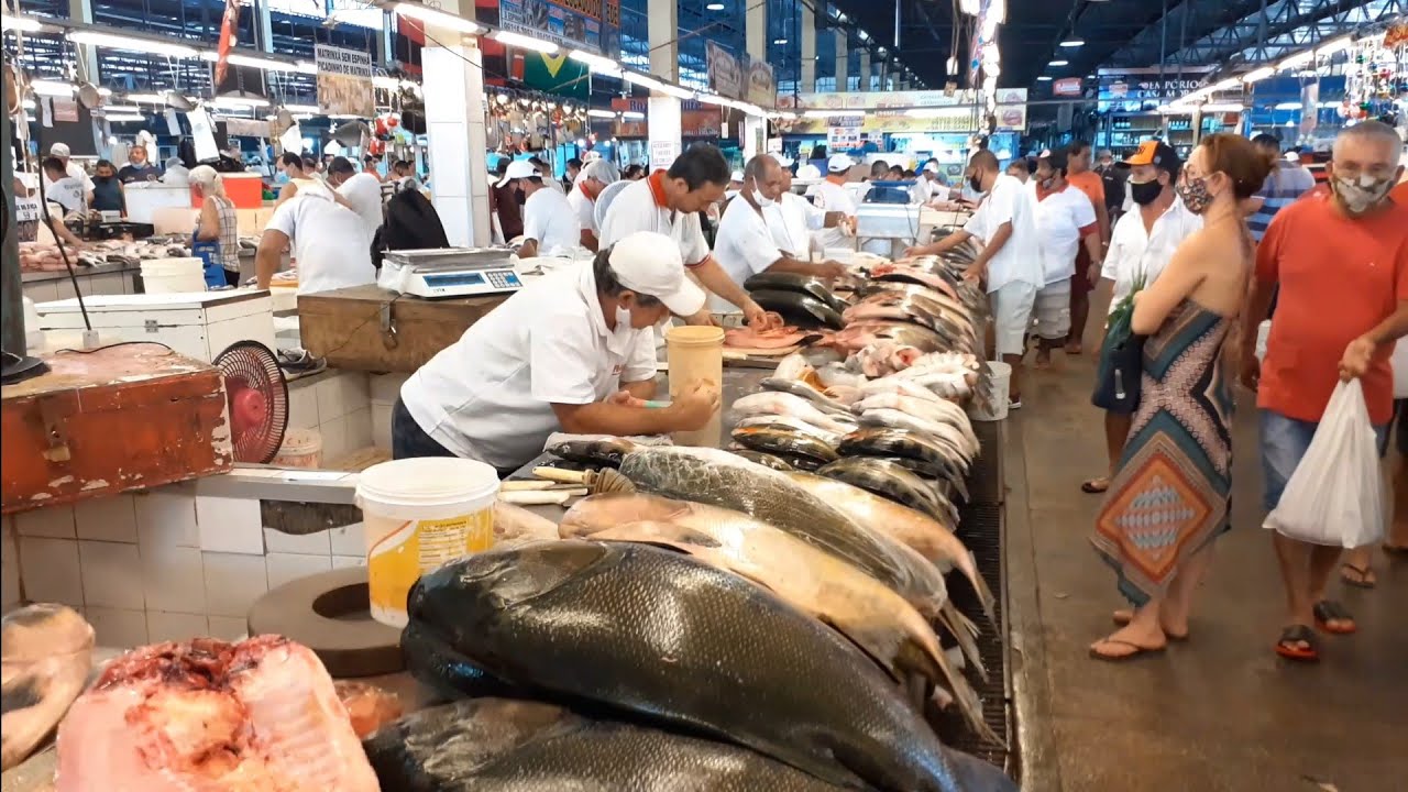 [4k] Mercado Municipal de Manaus, Peixes da Amazônia,EP 04
