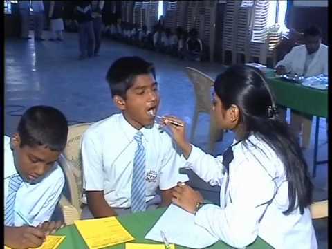 School Oral Health Program
