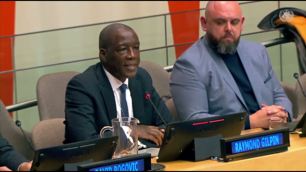 Dr Raymond Gilpin speaks about Africa Credit Ratings Initiative at ECOSOC Special event - UNDP