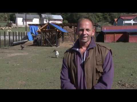 ARGOSAZNANJE - Farma magaraca u Gusinju