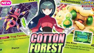 NO ESCAPE ! WHIMSICOTT & ARIADOS Just Got a Huge Buff This Season ! - Pokemon TCG Pocket