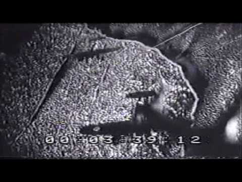 WWII Light Bomber Dornier Do 17 in Action with Finnish Air Force