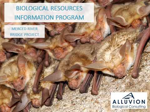 10-0Q121  NB Livingston Median Widening Biological Resources Information Program Presentation