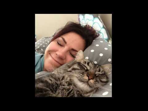 Italo disco Modern Talking You my heart cat welcome to me