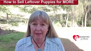 How to Sell Leftover Puppies for MORE