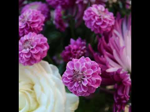 1980s Ruby & Diamond 9ct Gold Chevron Band Ring