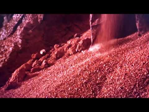 Arnold Schwarzenegger in Total Recall * foot slip scene *