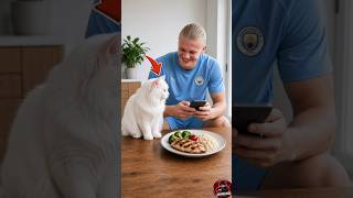 Haaland Ignored His Food… Then The Cat Got Angry! 😾📱😂 #haaland #cat #shorts #catworld