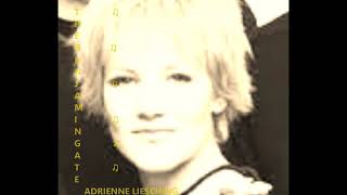 The Benjamin Gate -The Way You Are