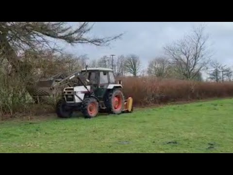 Feldränder mulchen mit Case und Dücker Mulcher