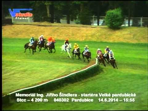 14.6.2014 - 6.dostih - Memoriál Ing. Jiřího Šindlera - startéra Velké pardubické