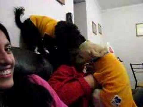 Matilda y Kitty las acosadoras