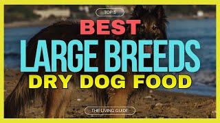🔥 Best Dry Dog Food for Large Breeds in 2024 ☑️ TOP 5 ☑️