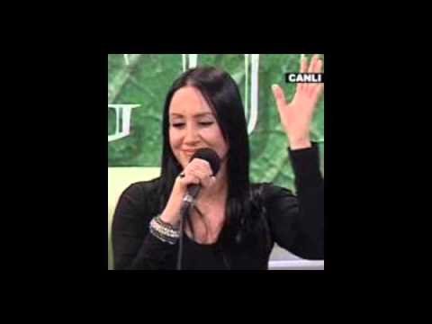 YOL ÜSTÜNDE KARAKOL (Zeynep CİHAN)