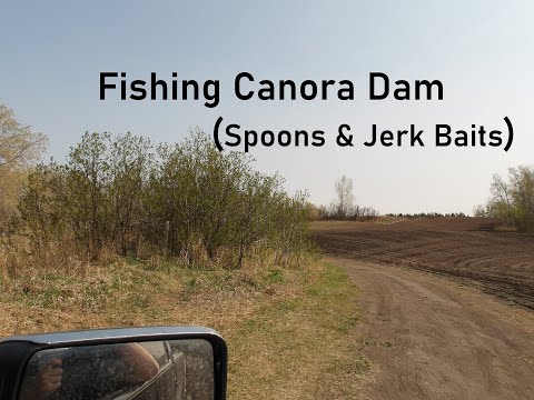 Fishing Canora Dam (Spoons &amp; Jerk Baits)