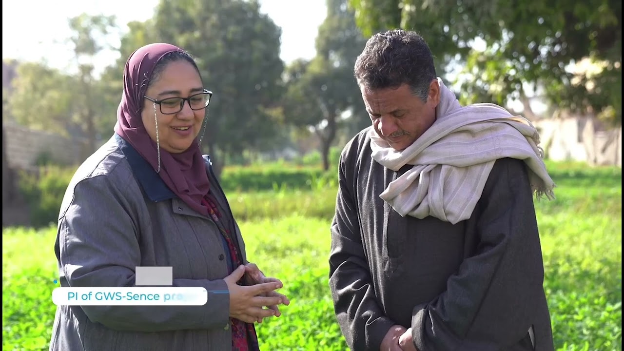 The Power of Knowledge Sharing (an example from Sekem farm)