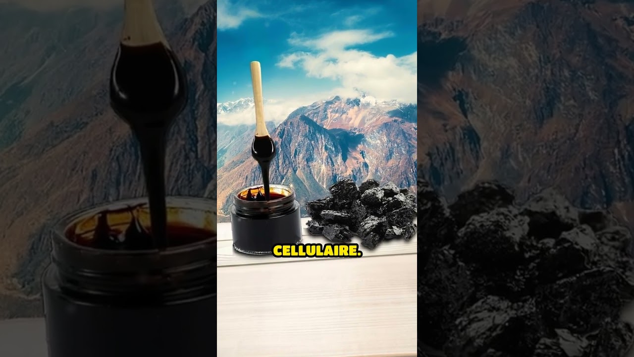 Vidéo présentation