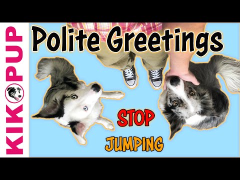 STOP UNWANTED behaviors with BACK UP