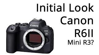 R6II Initial Thoughts   4K