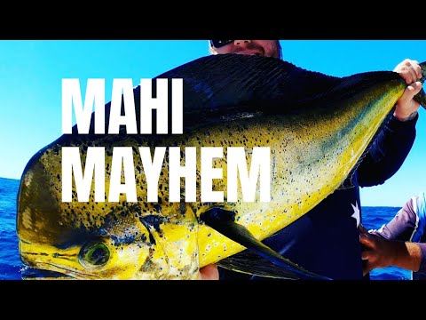 Mahi Mahi fishing how to catch dolphin fish off the FAD's Various techniques. Awesome Action