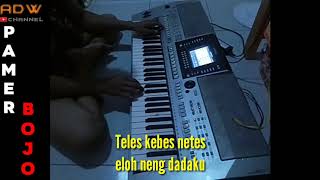 Download lagu PAMER BOJO GEDRUK..manual...cover psr 910 mp3