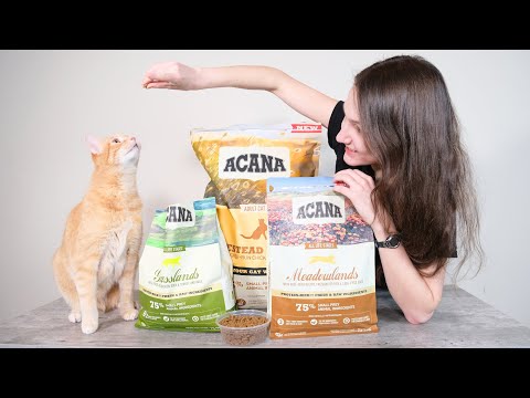Acana Cat Food Review (We Tested It)